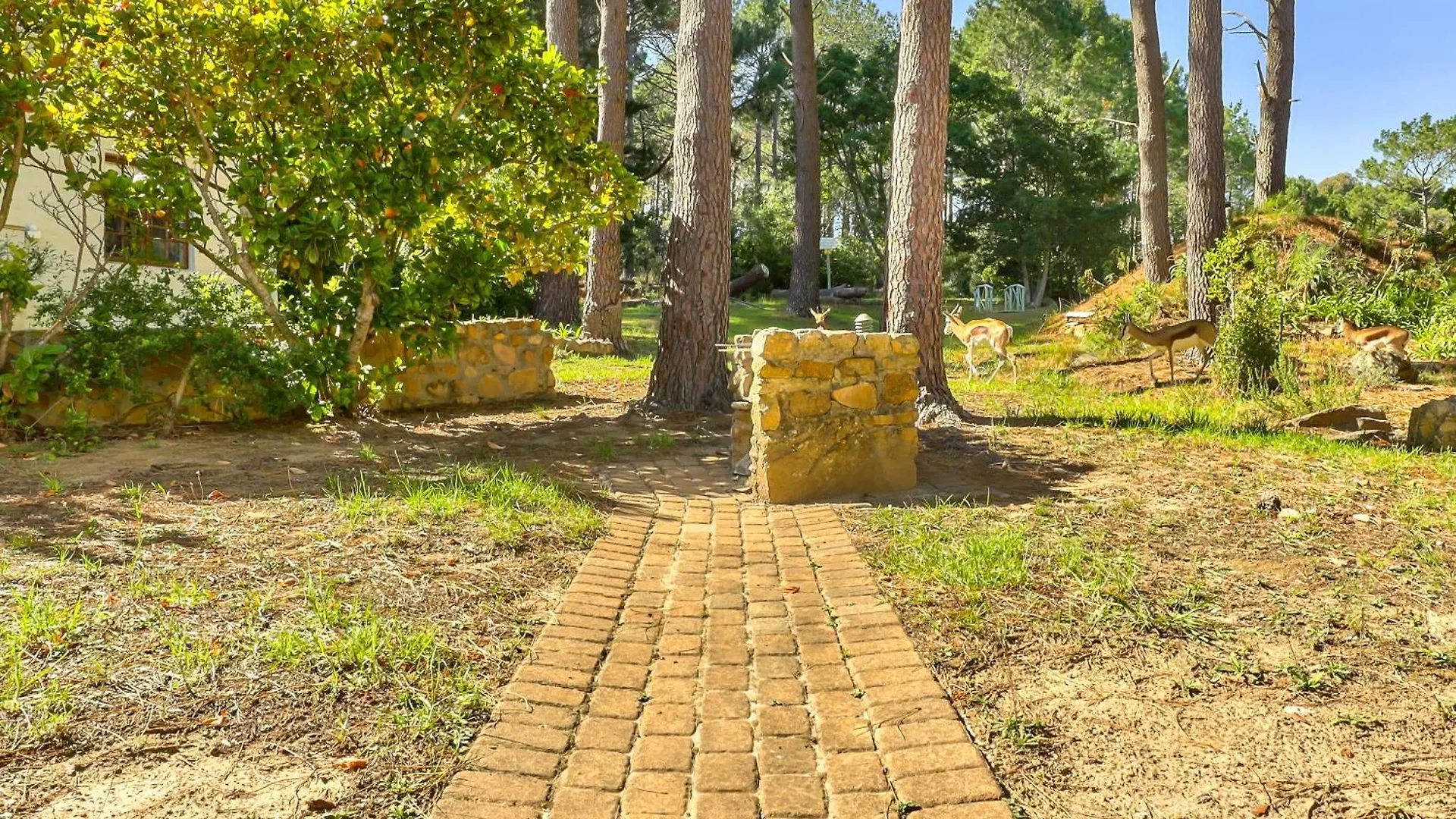 Сasa de vacaciones Houtkapperspoort Mountain Cottages Ciudad del Cabo